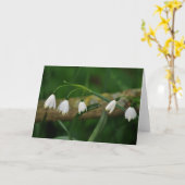 Sneeuwklokjes Kaart (Gele Bloem)