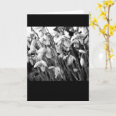 Sneeuwklokjes Kaart (Gele Bloem)