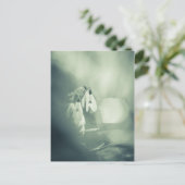 Sneeuwklokjes Natuur Foto Briefkaart (Staand voorkant)