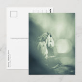 Sneeuwklokjes Natuur Foto Briefkaart (Voorkant / Achterkant)