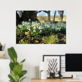 Sneeuwklokjes onder een Engelse taxusboom - gepers Poster (Thuiskantoor)