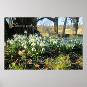 Sneeuwklokjes onder een Engelse taxusboom - gepers Poster