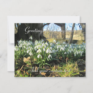 Sneeuwklokjes onder een taxusboom - gepersonalisee briefkaart