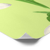 Sneeuwklokjes op honingdauw poster (Hoek)