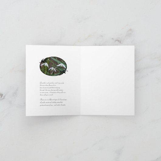 Sneeuwklokjes symboliek en info kaart (Binnen)