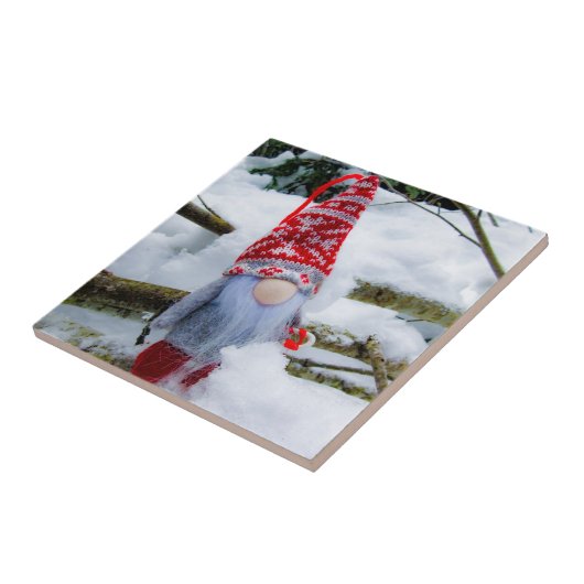 Sneeuwkoepel 04 tegeltje (Zijkant)