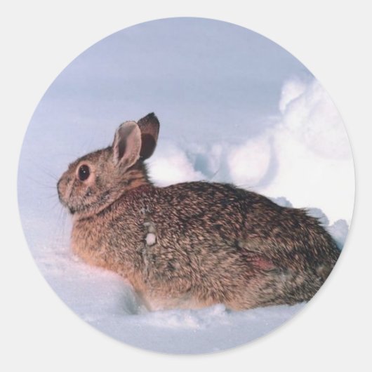 Sneeuwkonijn kerstkaart Envelopzegels Ronde Sticker (Voorkant)