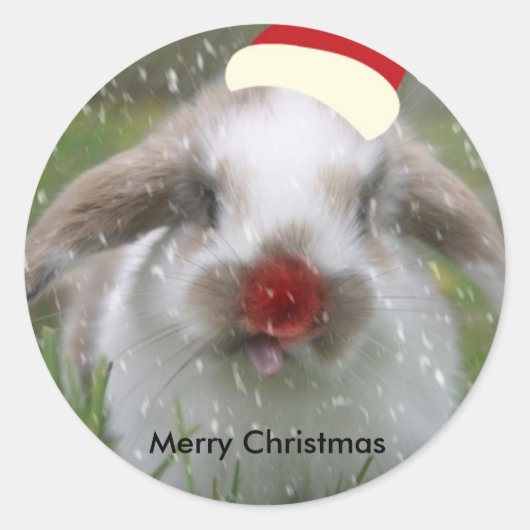 sneeuwkonijn, Vrolijk Kerstfeest Ronde Sticker (Voorkant)