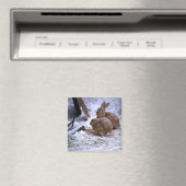 Sneeuwkonijntjes Magneet (Insitu (Vaatwasser))