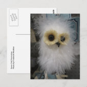 Sneeuwkontkleuring Briefkaart (Voorkant / Achterkant)