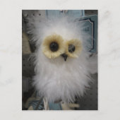 Sneeuwkontkleuring Briefkaart (Voorkant)