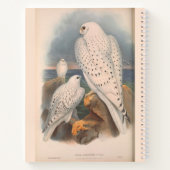 Sneeuwkous en Falcon Hardcover Spiral Sketchbook Notitieboek (Achterkant)