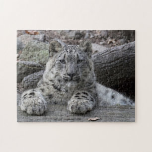 Sneeuwkrab Legpuzzel