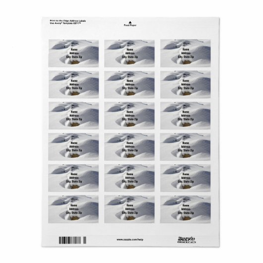 Sneeuwkrabbels Etiket (Full Sheet)