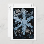 sneeuwkristal 2 briefkaart (Voorkant / Achterkant)