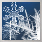 sneeuwkristallen poster (Voorkant)