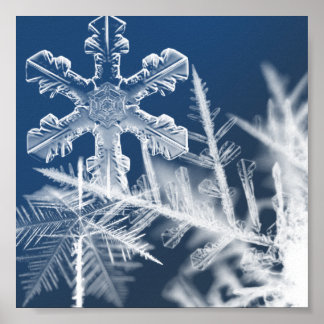 sneeuwkristallen poster
