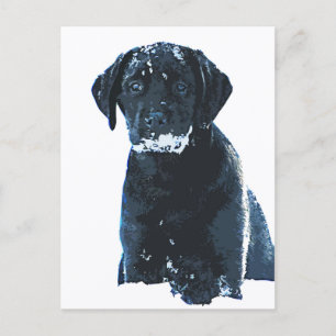 Sneeuwkristallen - Sneeuwlabrador - Black Lab Pupp Briefkaart