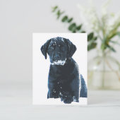 Sneeuwkristallen - Sneeuwlabrador - Black Lab Pupp Briefkaart (Staand voorkant)