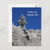 Sneeuwkruimelroetjes uit Washington Briefkaart (Voorkant / Achterkant)