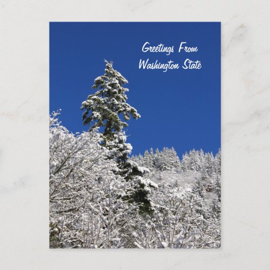 Sneeuwkruimelroetjes uit Washington Briefkaart (Voorkant)