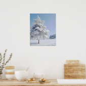 Sneeuwkuisboom Poster (Keuken)