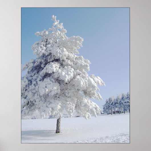 Sneeuwkuisboom Poster (Voorkant)