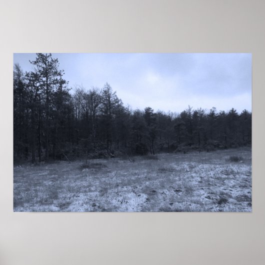 Sneeuwlaag op het veen poster (Voorkant)