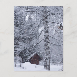 sneeuwlandschap briefkaart