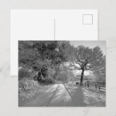 Sneeuwlandschap: Cheshire Briefkaart (Voorkant / Achterkant)