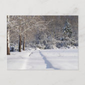 Sneeuwlandschap. Een seizoensgebonden Briefkaart. Feestdagenkaart (Voorkant)