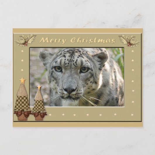 Sneeuwleopard-BCR-c-158 kopie Briefkaart (Voorkant)