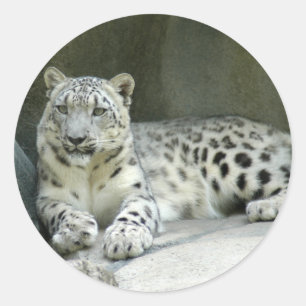 SneeuwLeopardM003 Ronde Sticker
