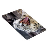 Sneeuwleopardyawning Flexible Magnet Magneet (Rechterzijde)