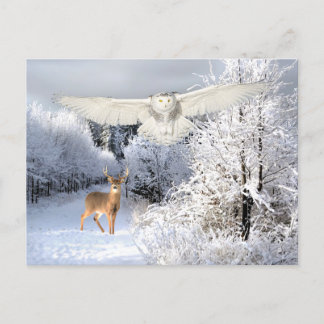 "Sneeuwlicht" Briefkaart