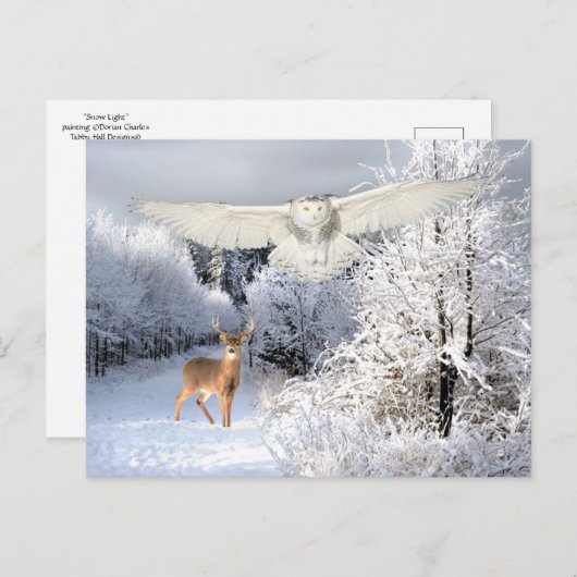 "Sneeuwlicht" Briefkaart (Voorkant / Achterkant)