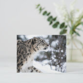 Sneeuwloopprofiel Briefkaart (Staand voorkant)