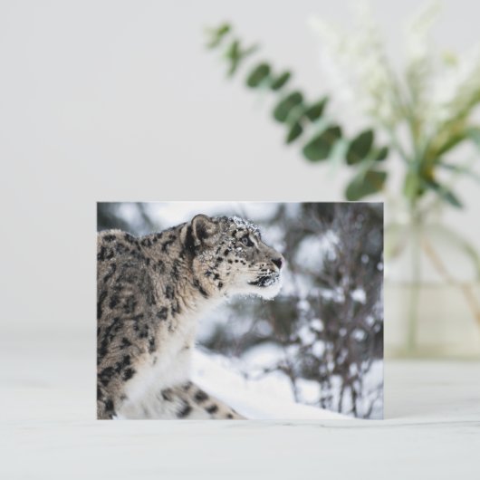 Sneeuwloopprofiel Briefkaart (Staand voorkant)