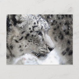 Sneeuwloopprofiel Portret Briefkaart