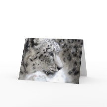 Sneeuwloopprofiel Portret