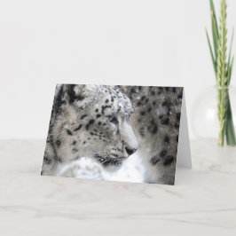 Sneeuwloopprofiel Portret Kaart