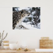 Sneeuwloopprofiel Poster (Keuken)