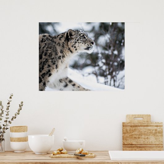 Sneeuwloopprofiel Poster (Keuken)