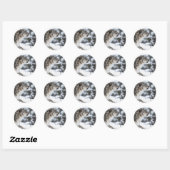 Sneeuwloopprofiel Ronde Sticker (Vel)