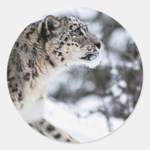 Sneeuwloopprofiel Ronde Sticker