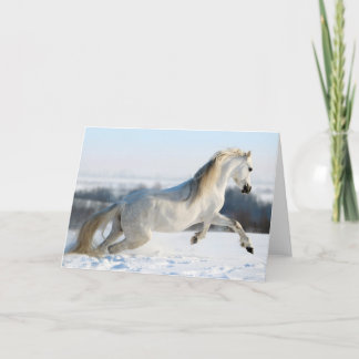 sneeuwloper feestdagen kaart