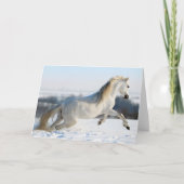 sneeuwloper feestdagen kaart (Voorkant)