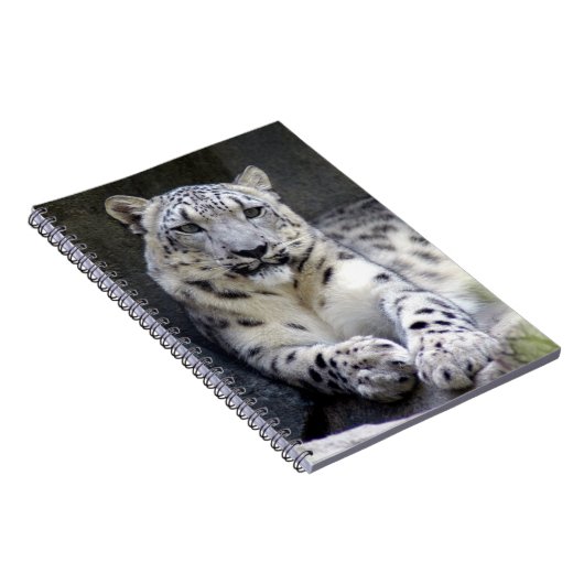 sneeuwluipaard 27 notitieboek (Rechterzijde)