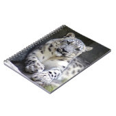 sneeuwluipaard 27 notitieboek (Linkerzijde)