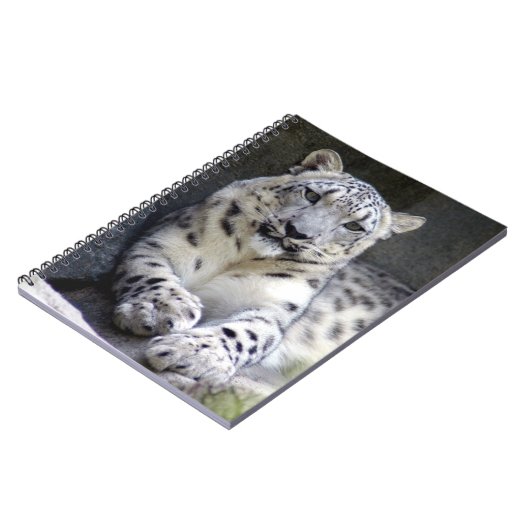 sneeuwluipaard 27 notitieboek (Linkerzijde)